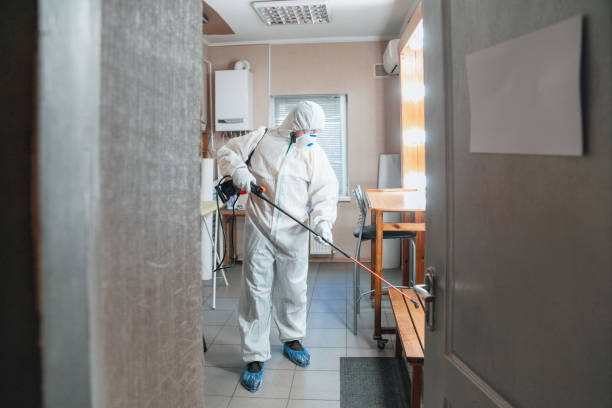 Best Emergency Mold Remediation  in Gwinn, MI